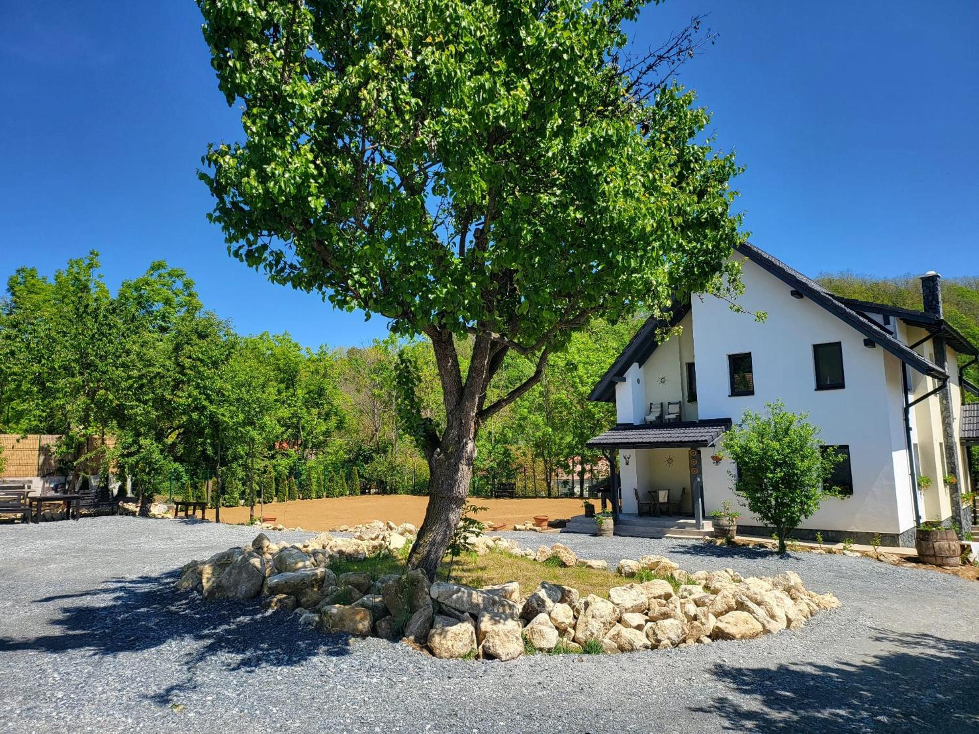 Pensiunea Casa Dacilor Podeni Bagian luar foto