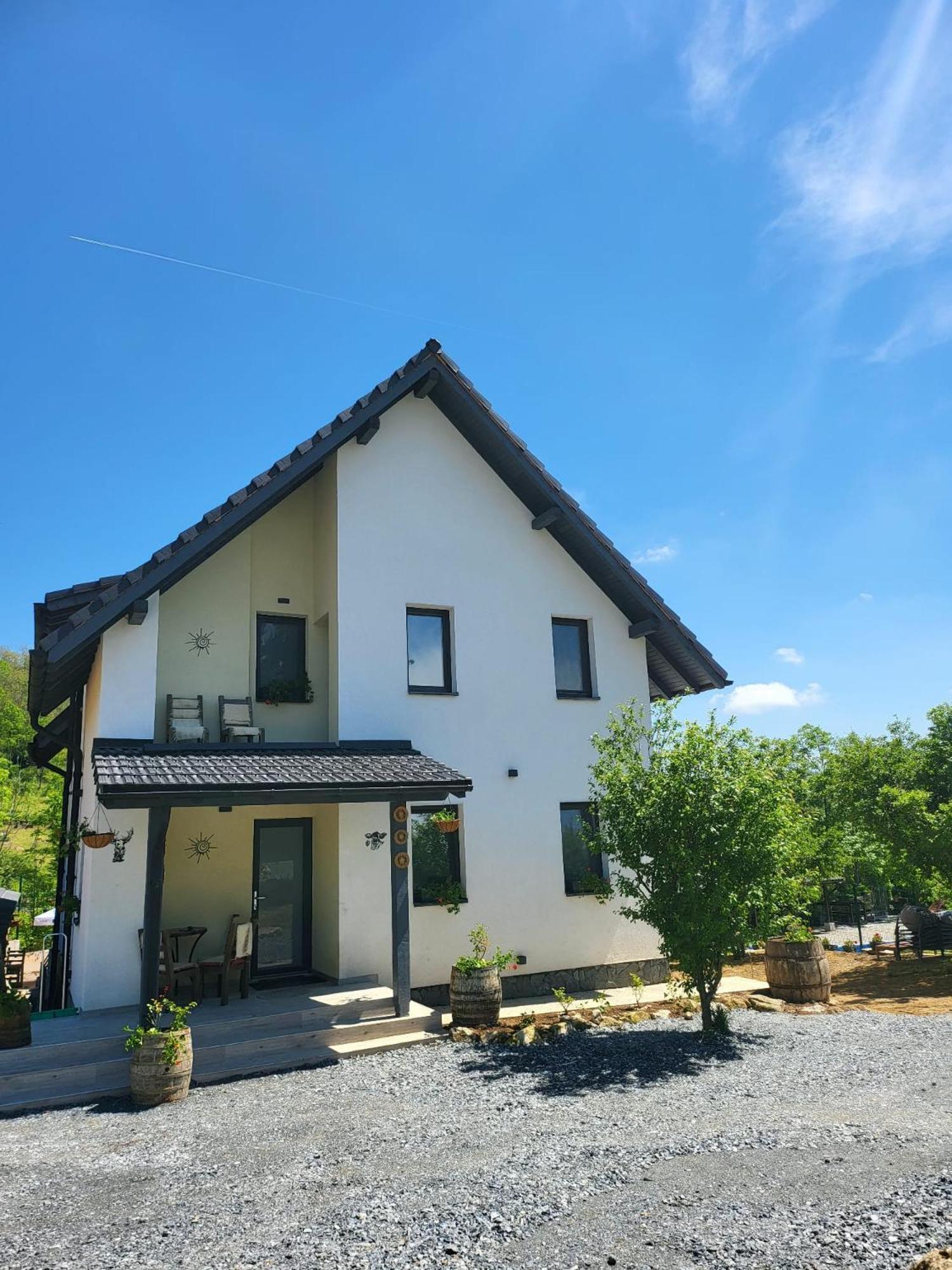 Pensiunea Casa Dacilor Podeni Bagian luar foto